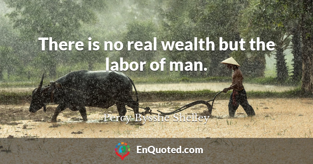There is no real wealth but the labor of man.