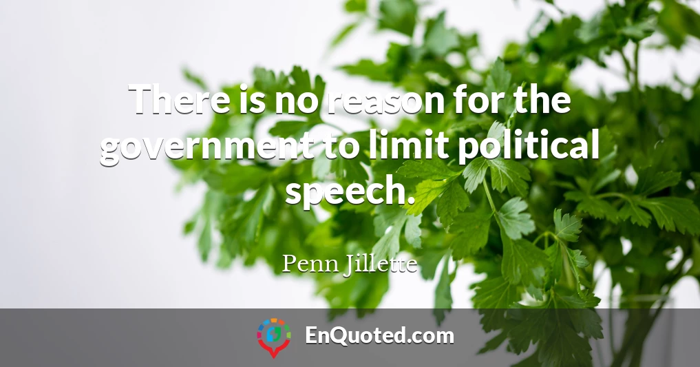 There is no reason for the government to limit political speech.