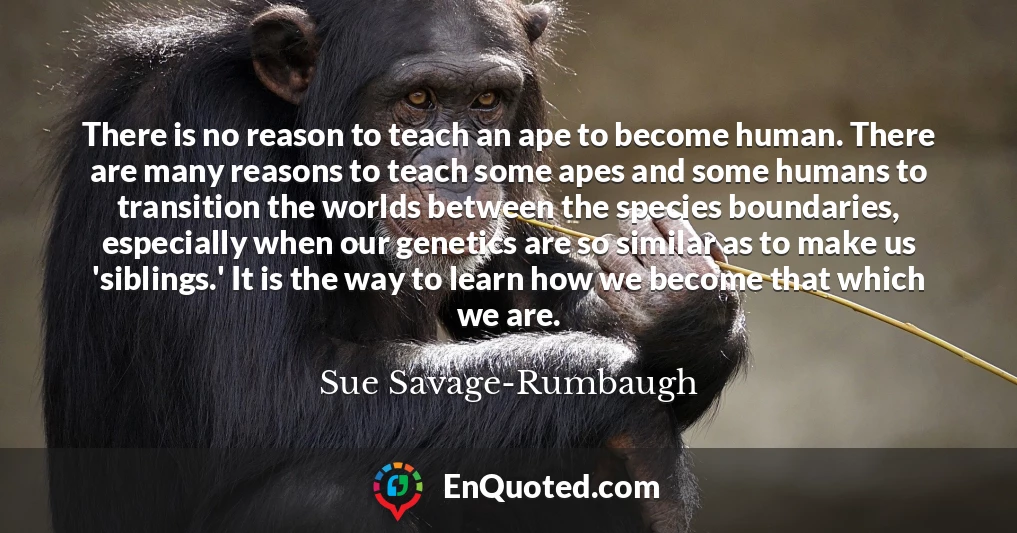 There is no reason to teach an ape to become human. There are many reasons to teach some apes and some humans to transition the worlds between the species boundaries, especially when our genetics are so similar as to make us 'siblings.' It is the way to learn how we become that which we are.