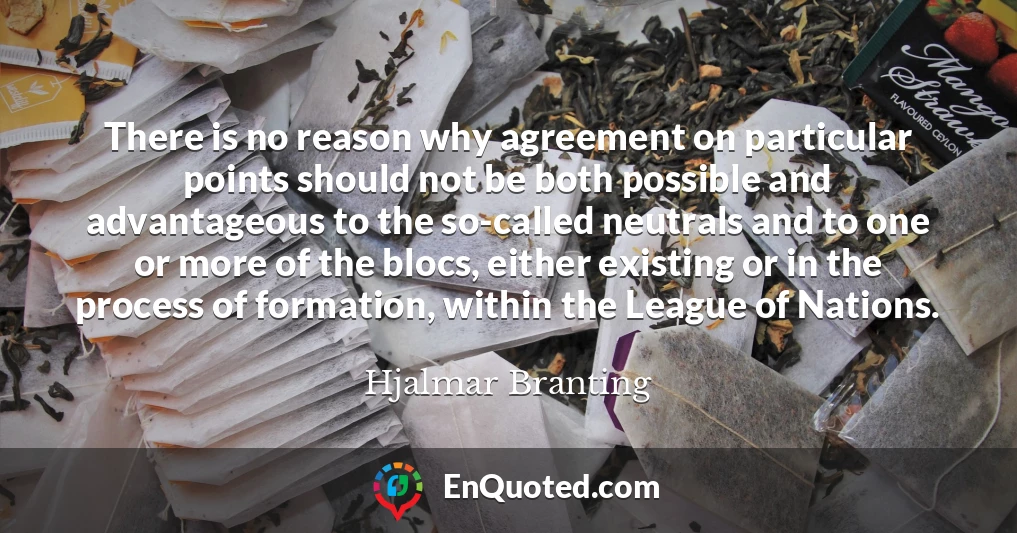 There is no reason why agreement on particular points should not be both possible and advantageous to the so-called neutrals and to one or more of the blocs, either existing or in the process of formation, within the League of Nations.
