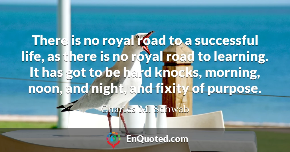 There is no royal road to a successful life, as there is no royal road to learning. It has got to be hard knocks, morning, noon, and night, and fixity of purpose.