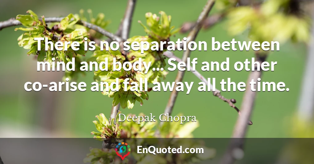 There is no separation between mind and body... Self and other co-arise and fall away all the time.