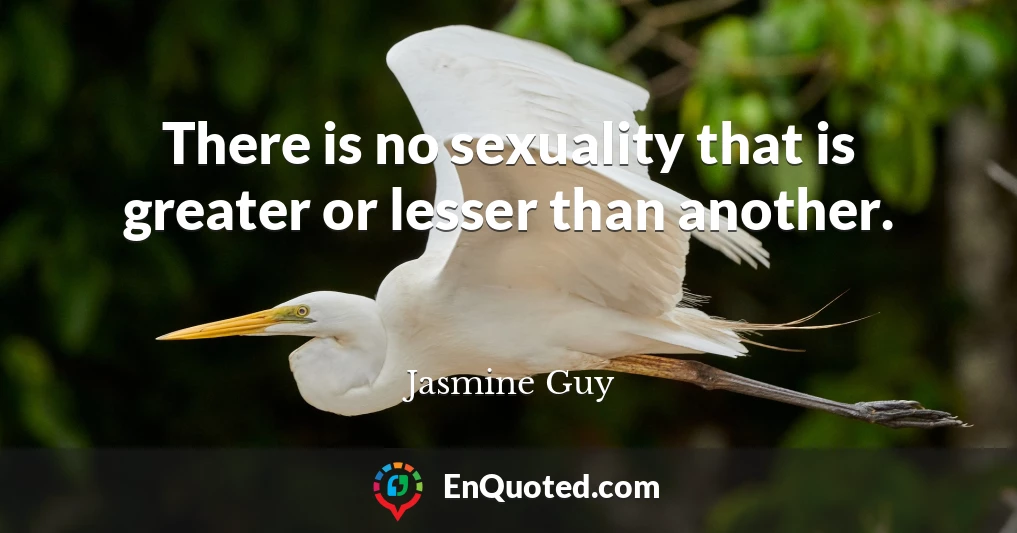 There is no sexuality that is greater or lesser than another.