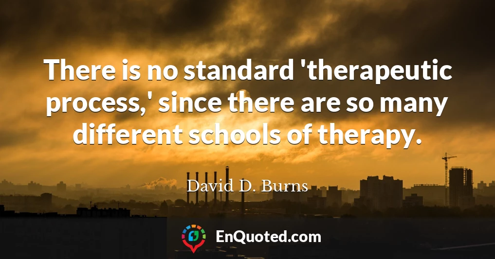 There is no standard 'therapeutic process,' since there are so many different schools of therapy.