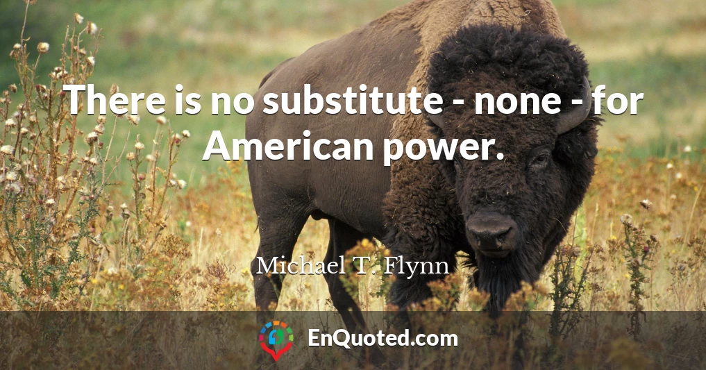 There is no substitute - none - for American power.