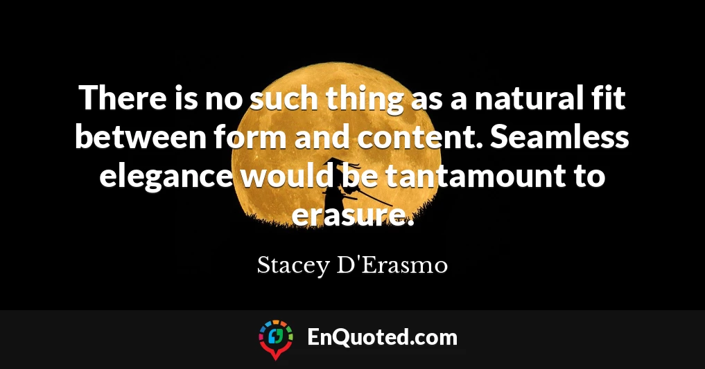 There is no such thing as a natural fit between form and content. Seamless elegance would be tantamount to erasure.