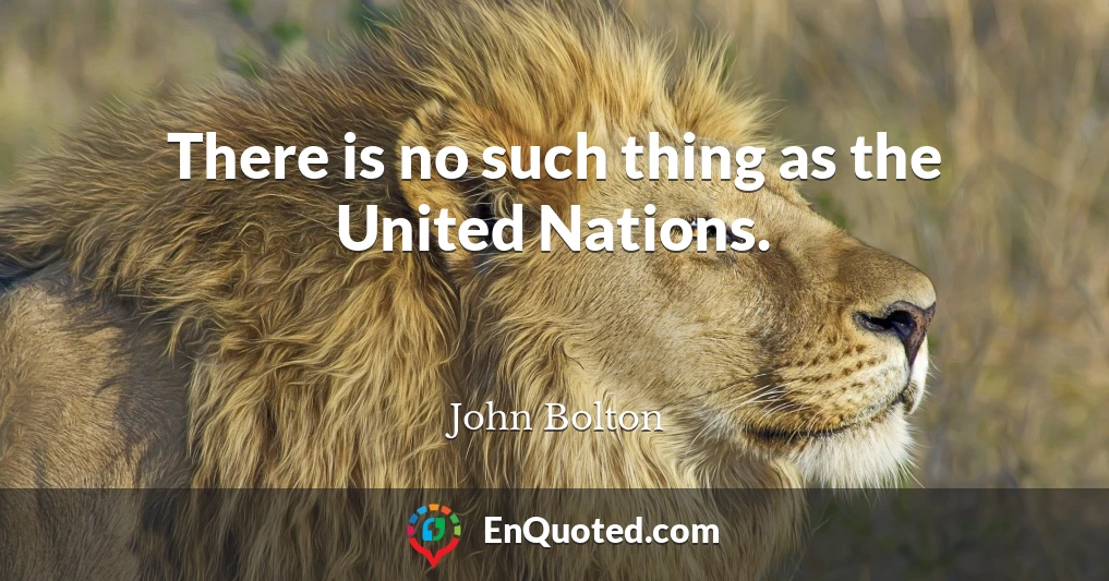 There is no such thing as the United Nations.