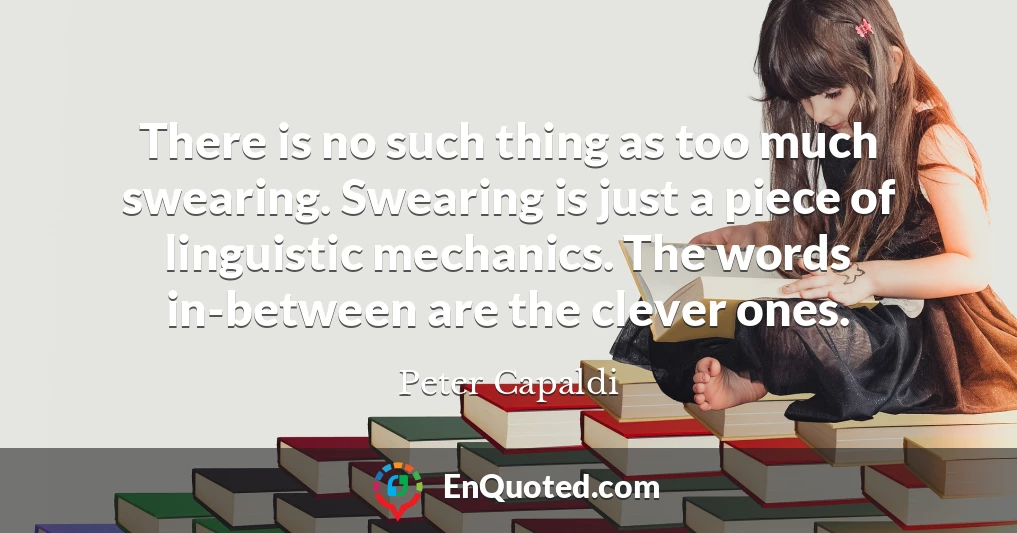 There is no such thing as too much swearing. Swearing is just a piece of linguistic mechanics. The words in-between are the clever ones.