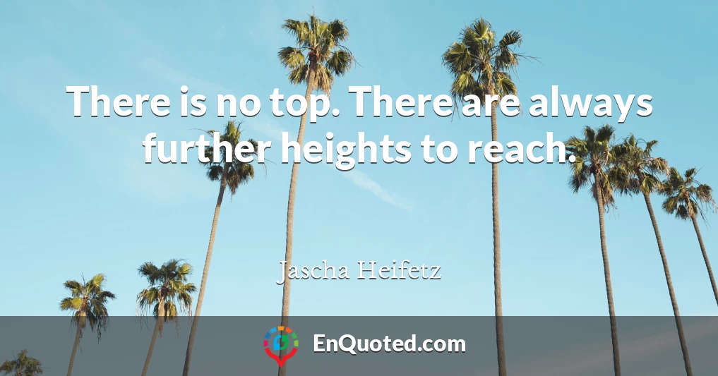 There is no top. There are always further heights to reach.