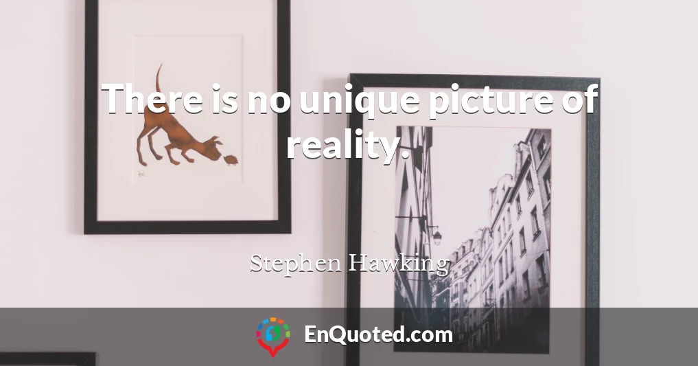There is no unique picture of reality.