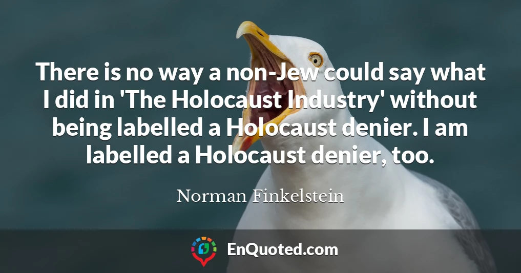 There is no way a non-Jew could say what I did in 'The Holocaust Industry' without being labelled a Holocaust denier. I am labelled a Holocaust denier, too.