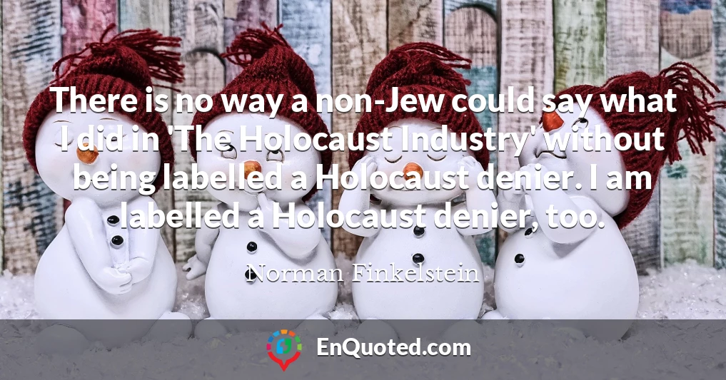 There is no way a non-Jew could say what I did in 'The Holocaust Industry' without being labelled a Holocaust denier. I am labelled a Holocaust denier, too.