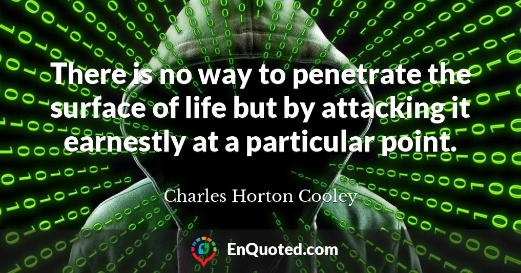 There is no way to penetrate the surface of life but by attacking it earnestly at a particular point.