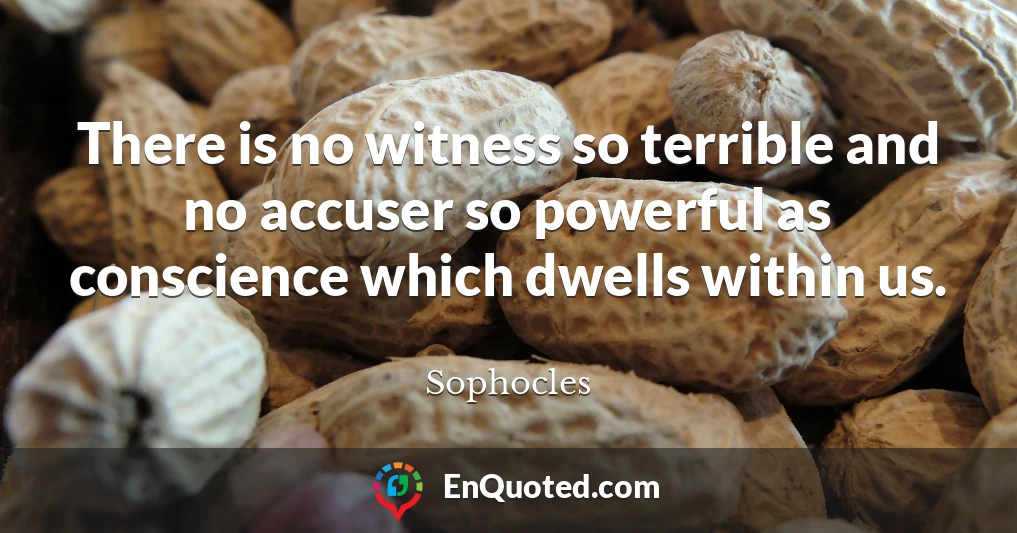 There is no witness so terrible and no accuser so powerful as conscience which dwells within us.