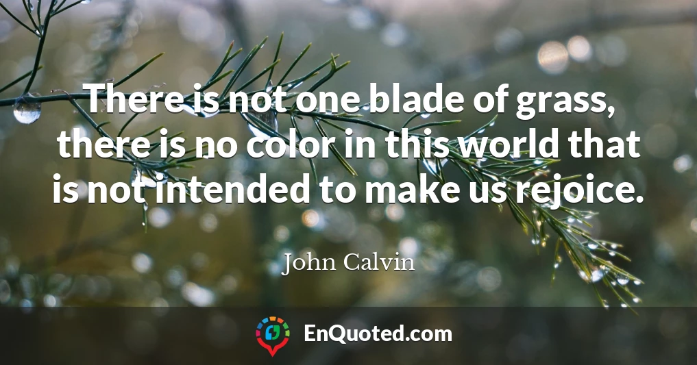 There is not one blade of grass, there is no color in this world that is not intended to make us rejoice.