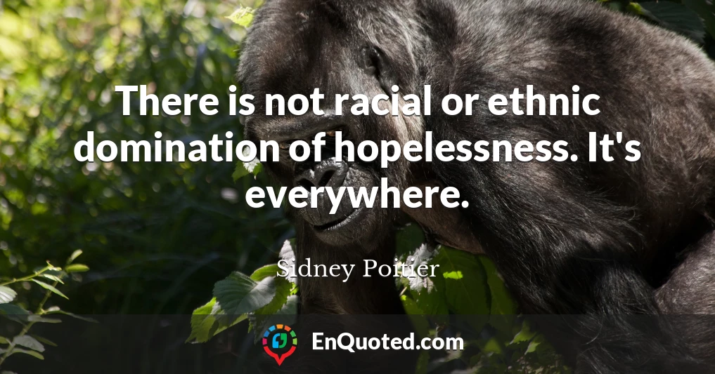 There is not racial or ethnic domination of hopelessness. It's everywhere.