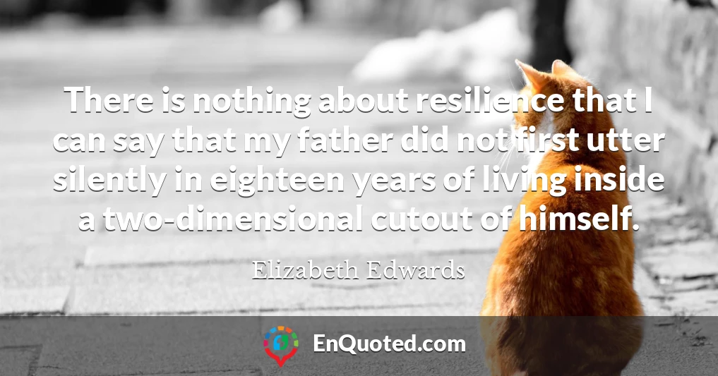 There is nothing about resilience that I can say that my father did not first utter silently in eighteen years of living inside a two-dimensional cutout of himself.