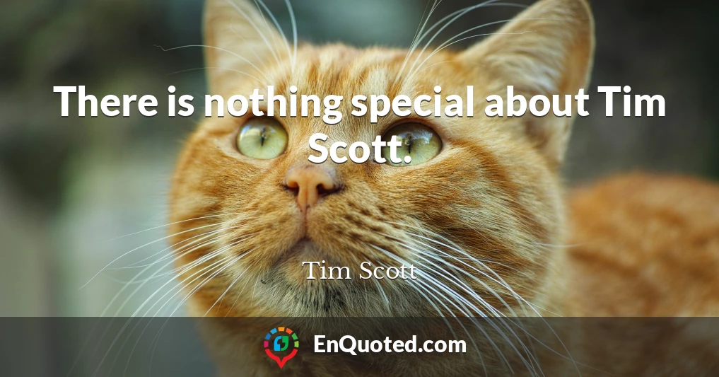 There is nothing special about Tim Scott.