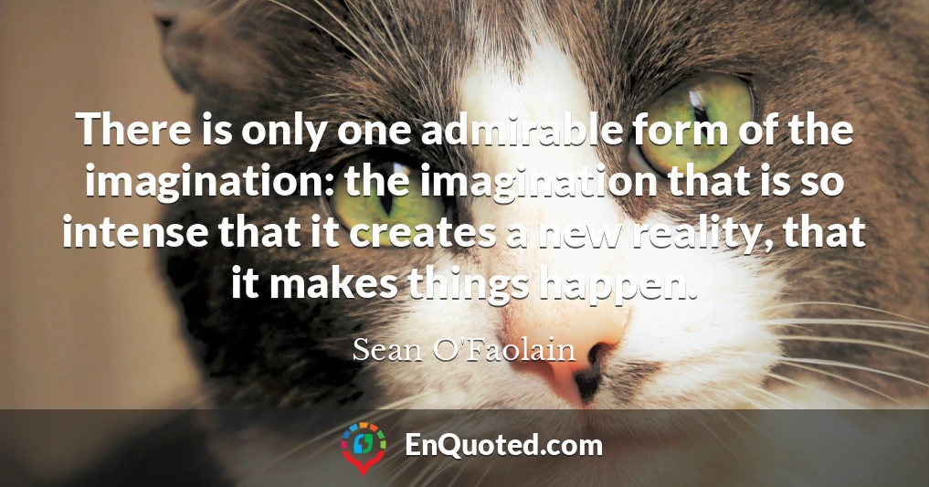 There is only one admirable form of the imagination: the imagination that is so intense that it creates a new reality, that it makes things happen.