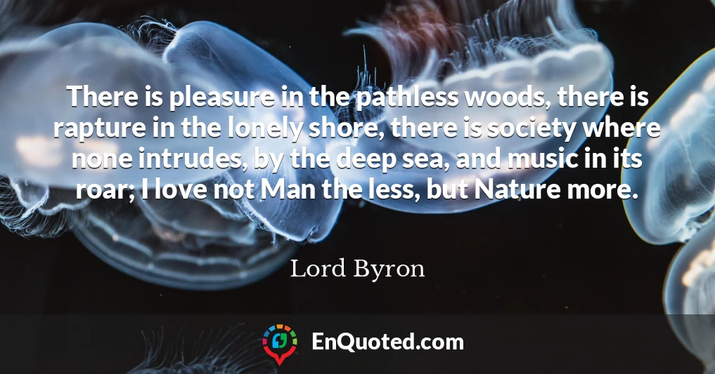 There is pleasure in the pathless woods, there is rapture in the lonely shore, there is society where none intrudes, by the deep sea, and music in its roar; I love not Man the less, but Nature more.