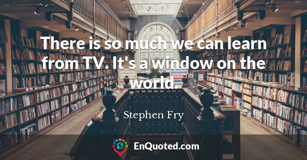 There is so much we can learn from TV. It's a window on the world.