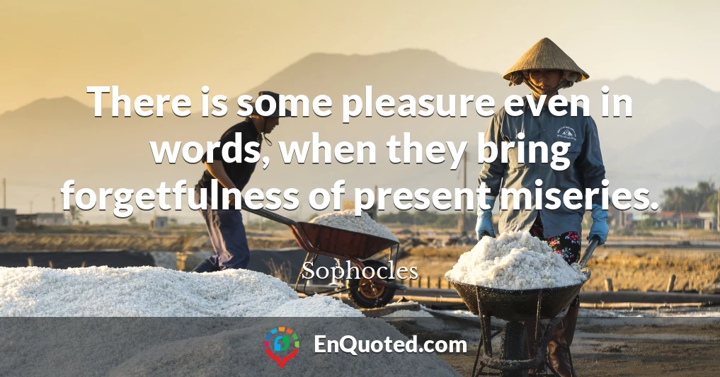 There is some pleasure even in words, when they bring forgetfulness of present miseries.