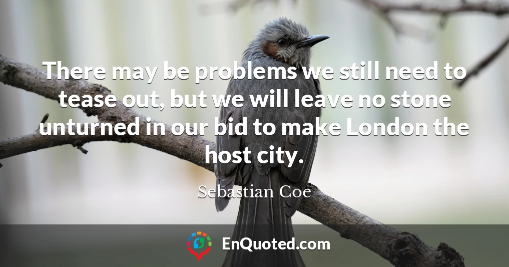 There may be problems we still need to tease out, but we will leave no stone unturned in our bid to make London the host city.