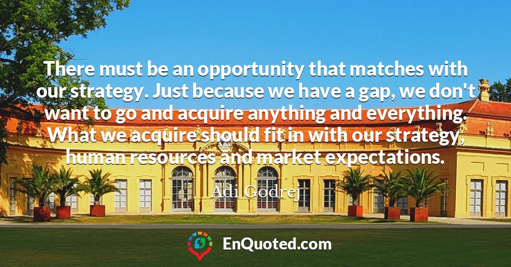 There must be an opportunity that matches with our strategy. Just because we have a gap, we don't want to go and acquire anything and everything. What we acquire should fit in with our strategy, human resources and market expectations.