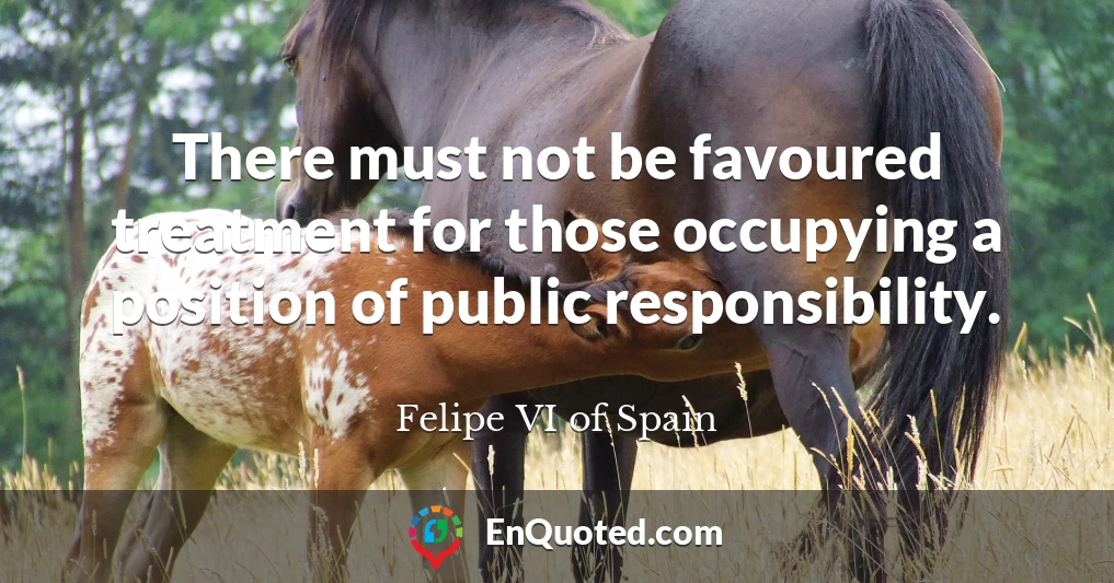 There must not be favoured treatment for those occupying a position of public responsibility.