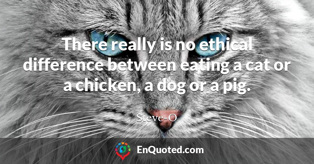 There really is no ethical difference between eating a cat or a chicken, a dog or a pig.