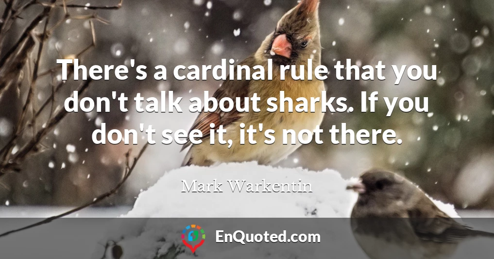 There's a cardinal rule that you don't talk about sharks. If you don't see it, it's not there.