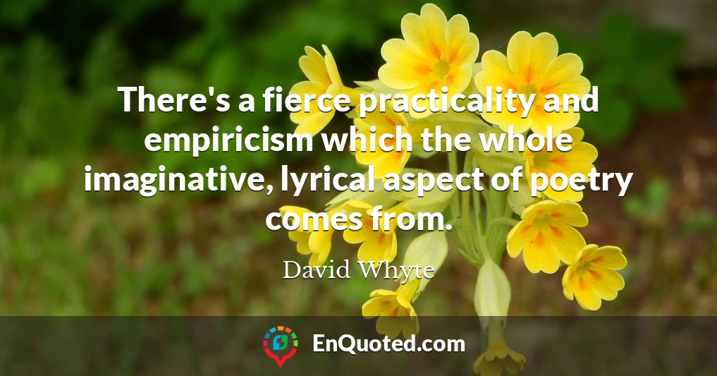 There's a fierce practicality and empiricism which the whole imaginative, lyrical aspect of poetry comes from.