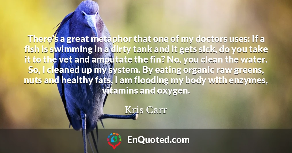 There's a great metaphor that one of my doctors uses: If a fish is swimming in a dirty tank and it gets sick, do you take it to the vet and amputate the fin? No, you clean the water. So, I cleaned up my system. By eating organic raw greens, nuts and healthy fats, I am flooding my body with enzymes, vitamins and oxygen.