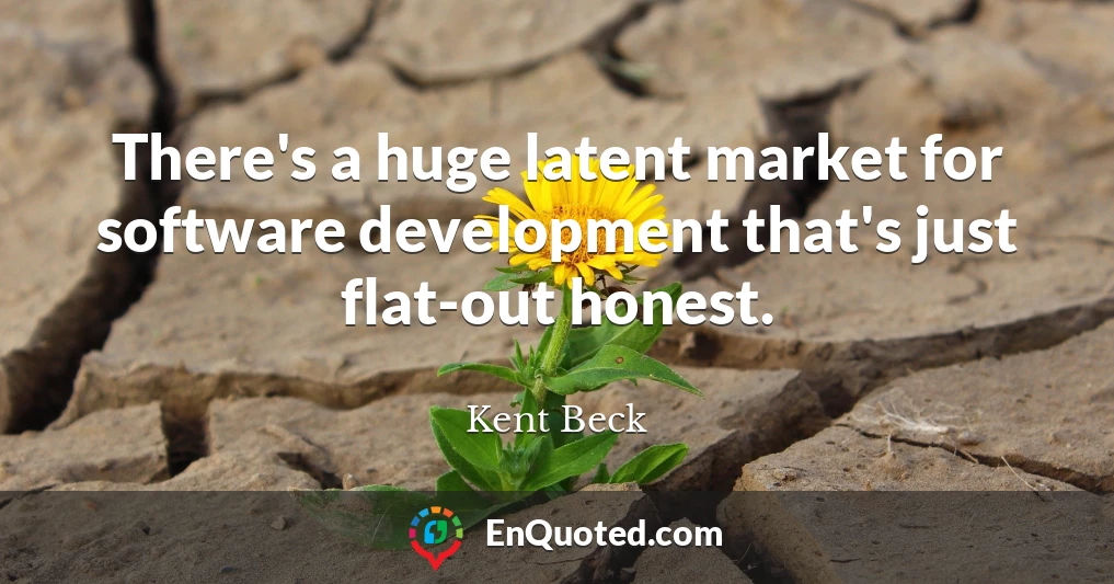 There's a huge latent market for software development that's just flat-out honest.