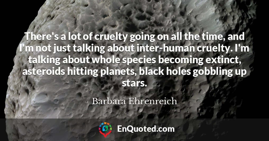 There's a lot of cruelty going on all the time, and I'm not just talking about inter-human cruelty. I'm talking about whole species becoming extinct, asteroids hitting planets, black holes gobbling up stars.