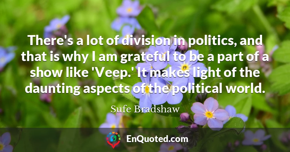 There's a lot of division in politics, and that is why I am grateful to be a part of a show like 'Veep.' It makes light of the daunting aspects of the political world.