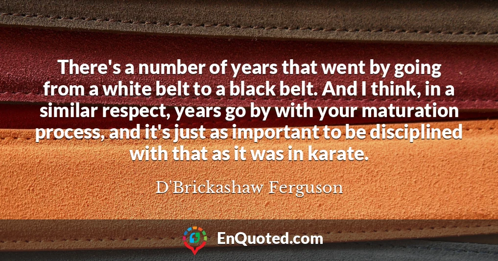 There's a number of years that went by going from a white belt to a black belt. And I think, in a similar respect, years go by with your maturation process, and it's just as important to be disciplined with that as it was in karate.