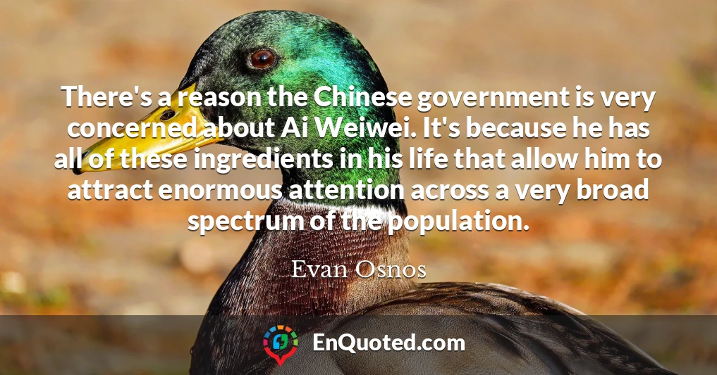 There's a reason the Chinese government is very concerned about Ai Weiwei. It's because he has all of these ingredients in his life that allow him to attract enormous attention across a very broad spectrum of the population.