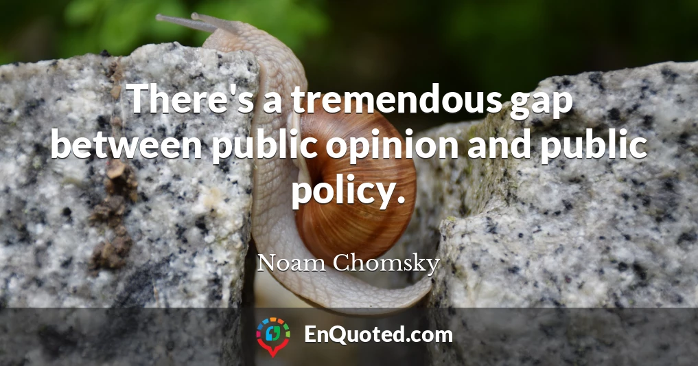 There's a tremendous gap between public opinion and public policy.