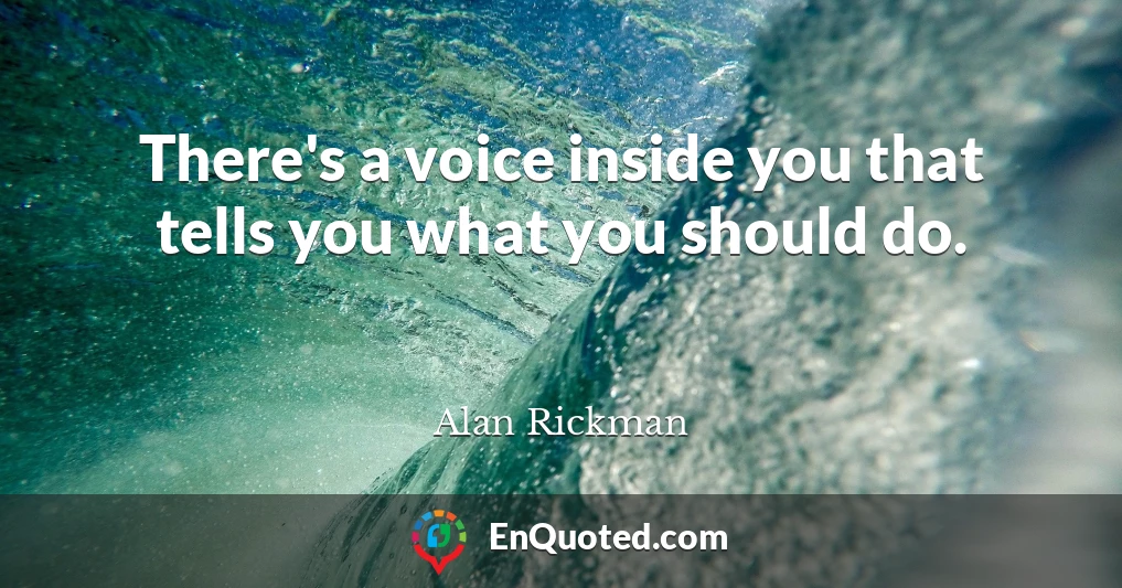 There's a voice inside you that tells you what you should do.