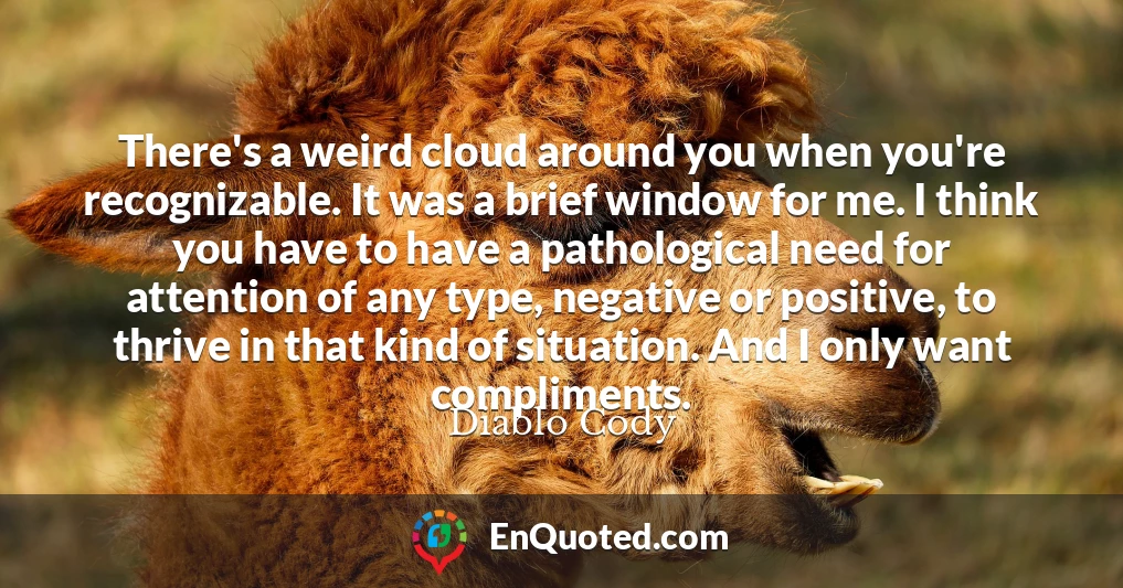 There's a weird cloud around you when you're recognizable. It was a brief window for me. I think you have to have a pathological need for attention of any type, negative or positive, to thrive in that kind of situation. And I only want compliments.
