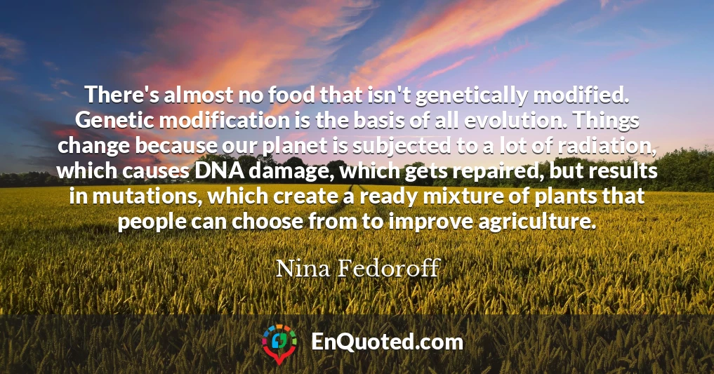 There's almost no food that isn't genetically modified. Genetic modification is the basis of all evolution. Things change because our planet is subjected to a lot of radiation, which causes DNA damage, which gets repaired, but results in mutations, which create a ready mixture of plants that people can choose from to improve agriculture.