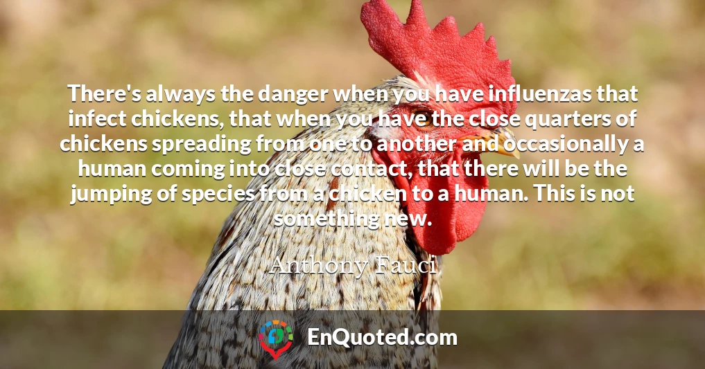 There's always the danger when you have influenzas that infect chickens, that when you have the close quarters of chickens spreading from one to another and occasionally a human coming into close contact, that there will be the jumping of species from a chicken to a human. This is not something new.