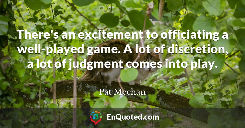 There's an excitement to officiating a well-played game. A lot of discretion, a lot of judgment comes into play.
