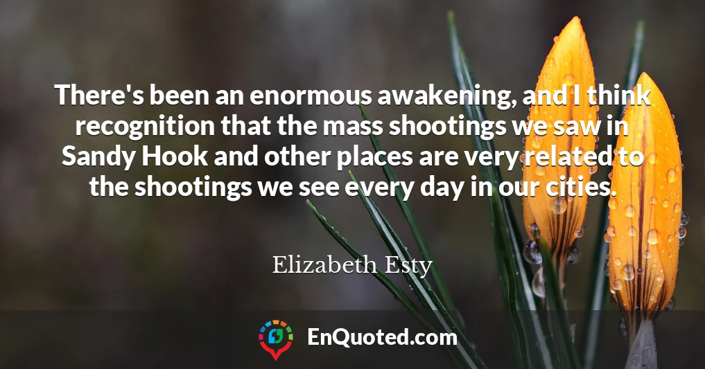There's been an enormous awakening, and I think recognition that the mass shootings we saw in Sandy Hook and other places are very related to the shootings we see every day in our cities.
