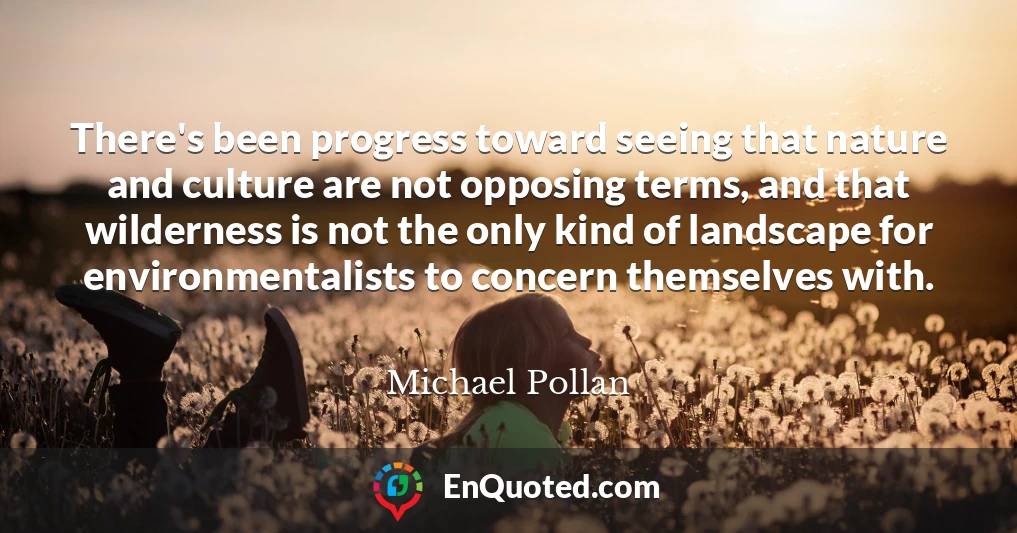 There's been progress toward seeing that nature and culture are not opposing terms, and that wilderness is not the only kind of landscape for environmentalists to concern themselves with.