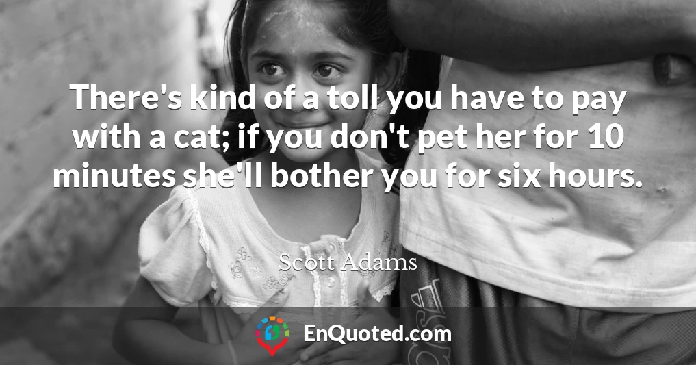 There's kind of a toll you have to pay with a cat; if you don't pet her for 10 minutes she'll bother you for six hours.