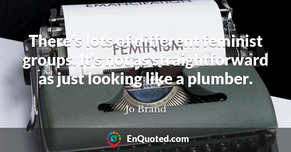 There's lots of different feminist groups. It's not as straightforward as just looking like a plumber.