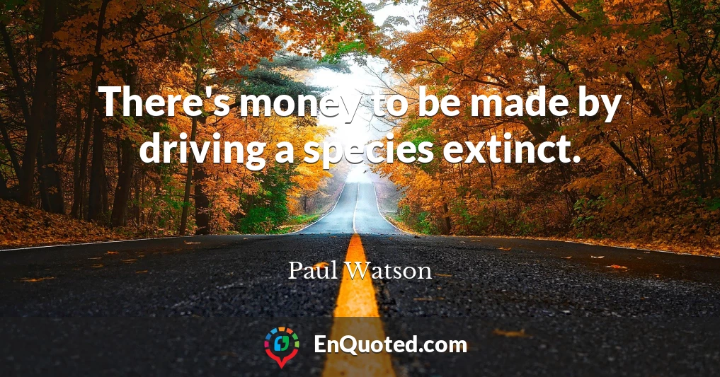 There's money to be made by driving a species extinct.