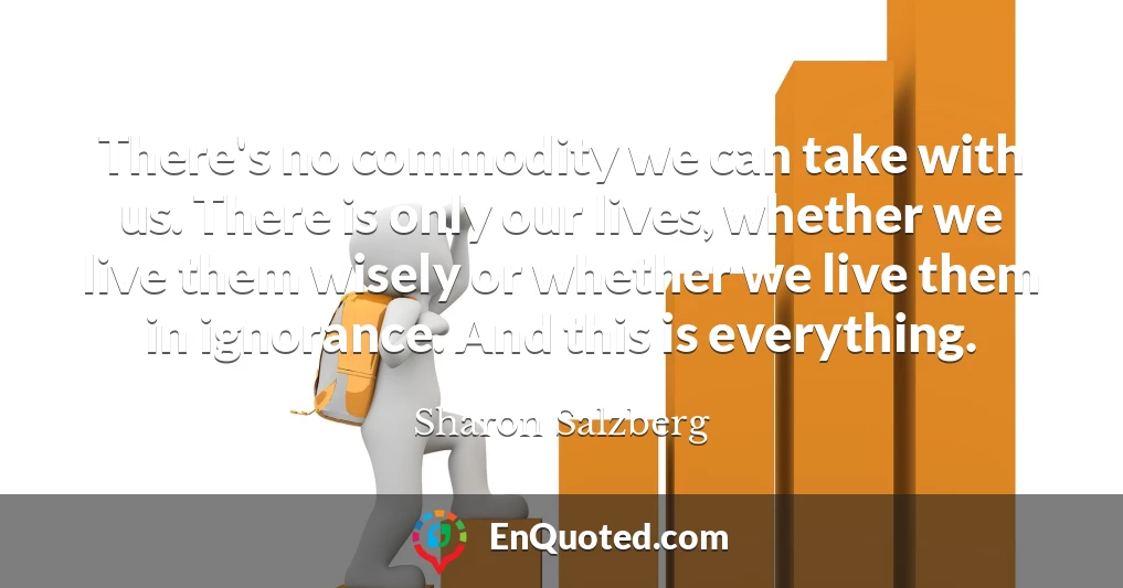 There's no commodity we can take with us. There is only our lives, whether we live them wisely or whether we live them in ignorance. And this is everything.